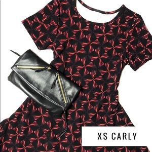 NWT Carly swing dress